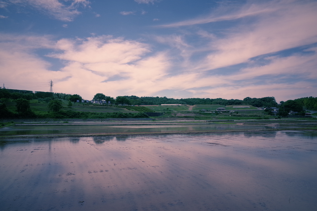 田植え前の青空