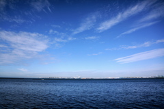 The City
