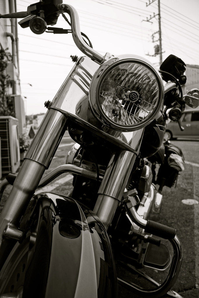 Harley Davidson