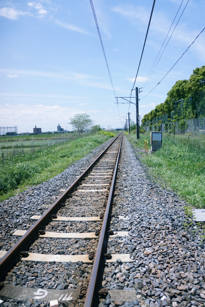 ありがとう