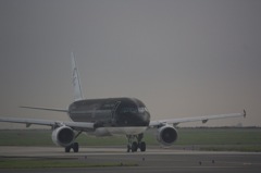air035