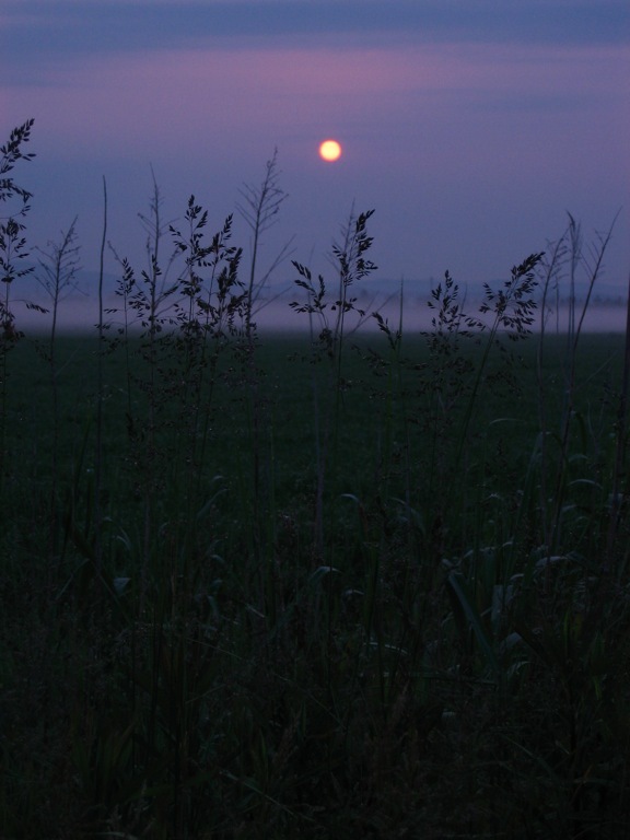 land003