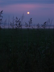 land003