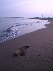land004