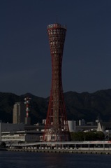 land026