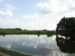 Sky Mirror