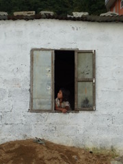 Windows-girl