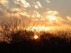 Sun goes by...