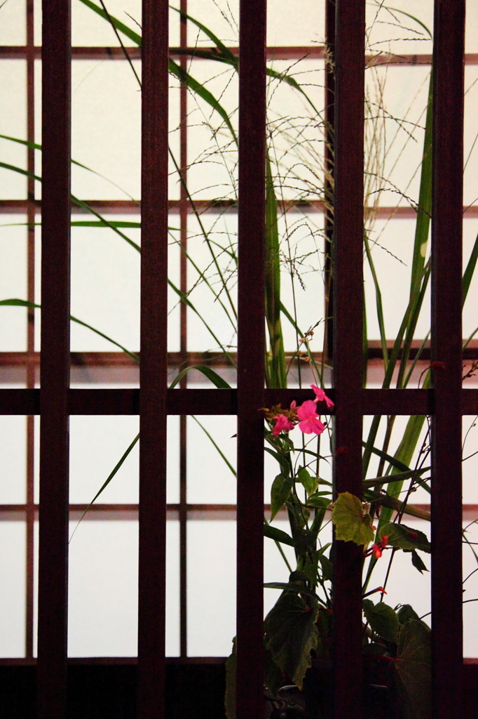 花活けの格子戸