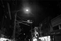 夜の太陽