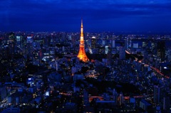 Tokyo Tower in blue