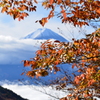 雪化粧した富士山