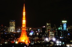 柔らかな光を放つ東京タワー