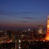 Tokyo night view （絵画調）