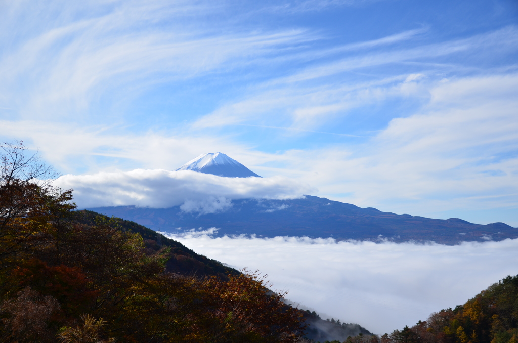 富士山と雲海