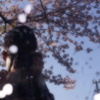 春色の空気に包まれて