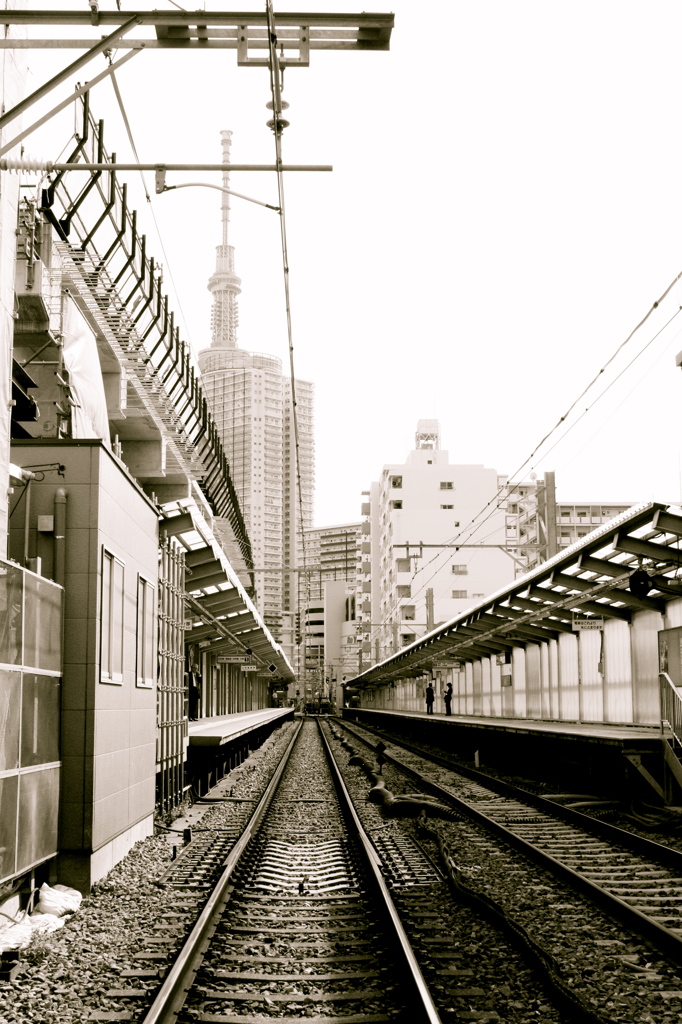 線路の彼方に
