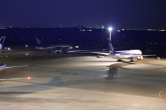 Blue Flight