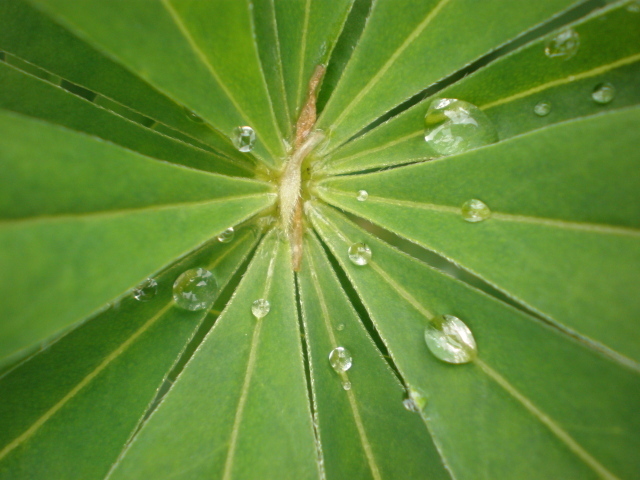 雨上がり