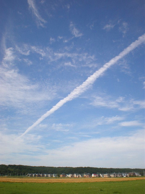 空の梯子