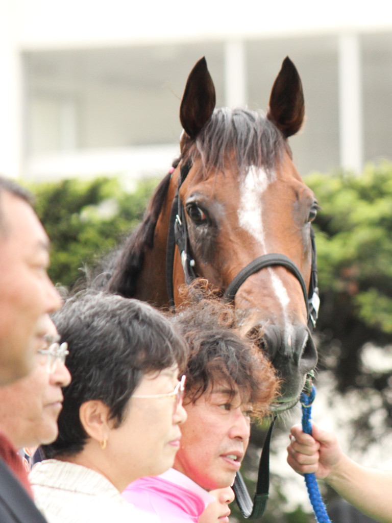 勝った！