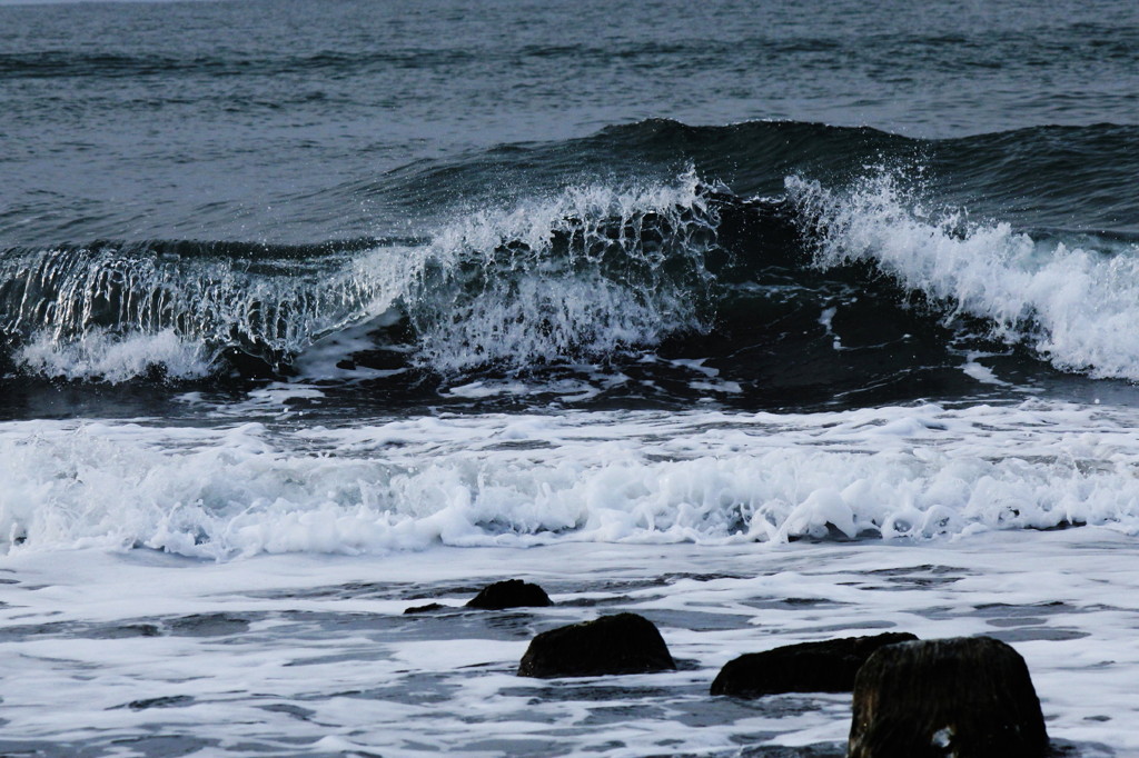 sea's orchestra