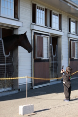 ３歳、馬を撮る。