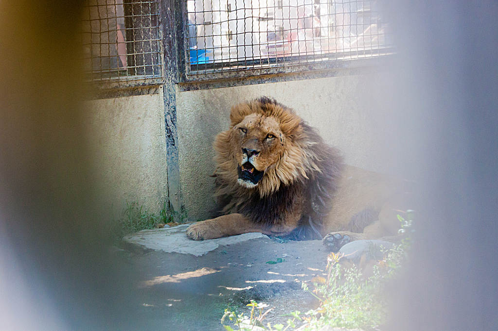 獲物は逃さない