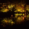 御船山の紅葉 夜