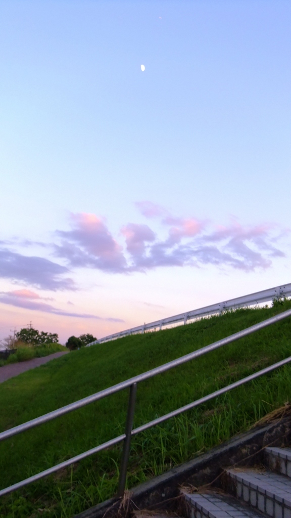 河川敷