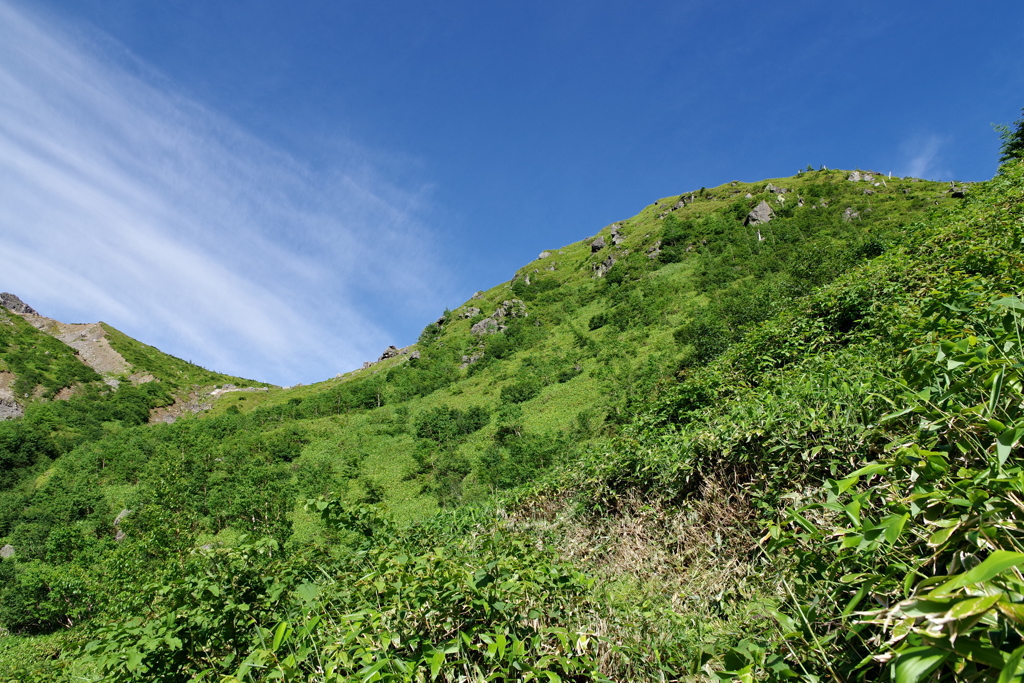 鞍部から夏空がのぞく