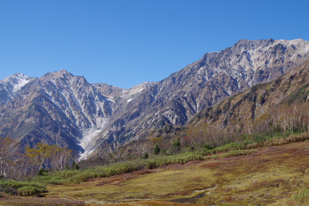 前方に見えるのは後立山