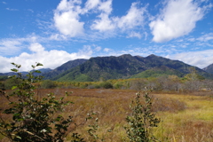 戦場ヶ原から見る白根山