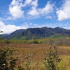 戦場ヶ原から見る白根山