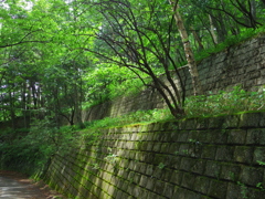 梅雨明け