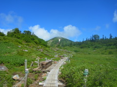 火打山へ続く道