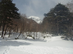 金精沢