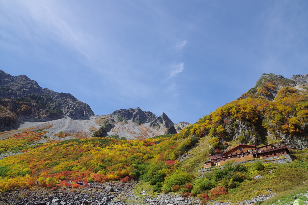 紅葉と薄曇りの空