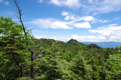 木間遠景