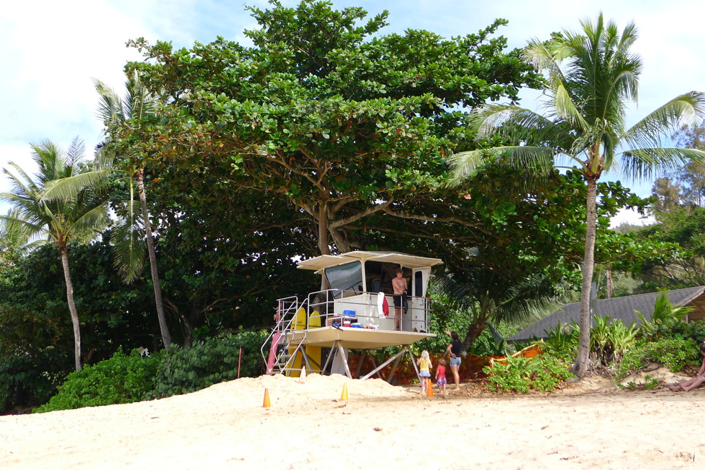 ハワイ・ノースショア