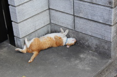 あついんだもーん