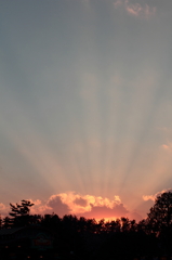 Ray of Light