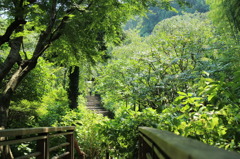 明月院