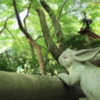 うさぎは何をみる