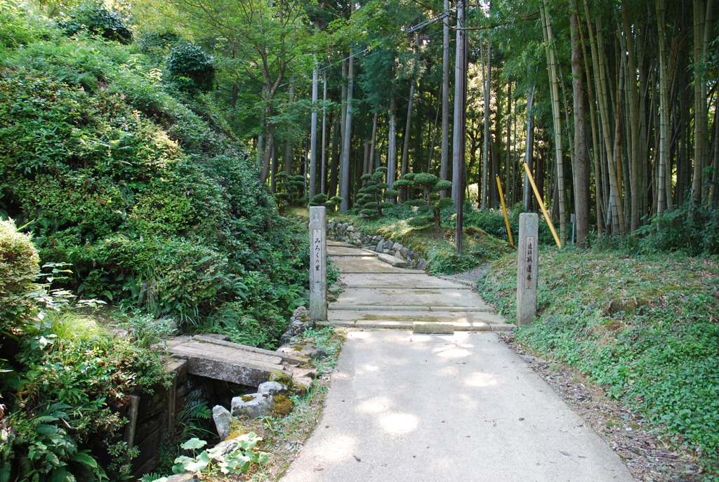 道