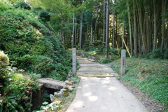 道
