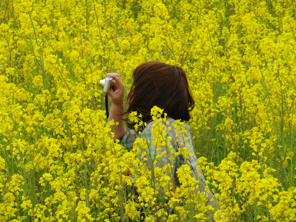 花畑の生き物