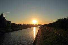 荒川の夕日