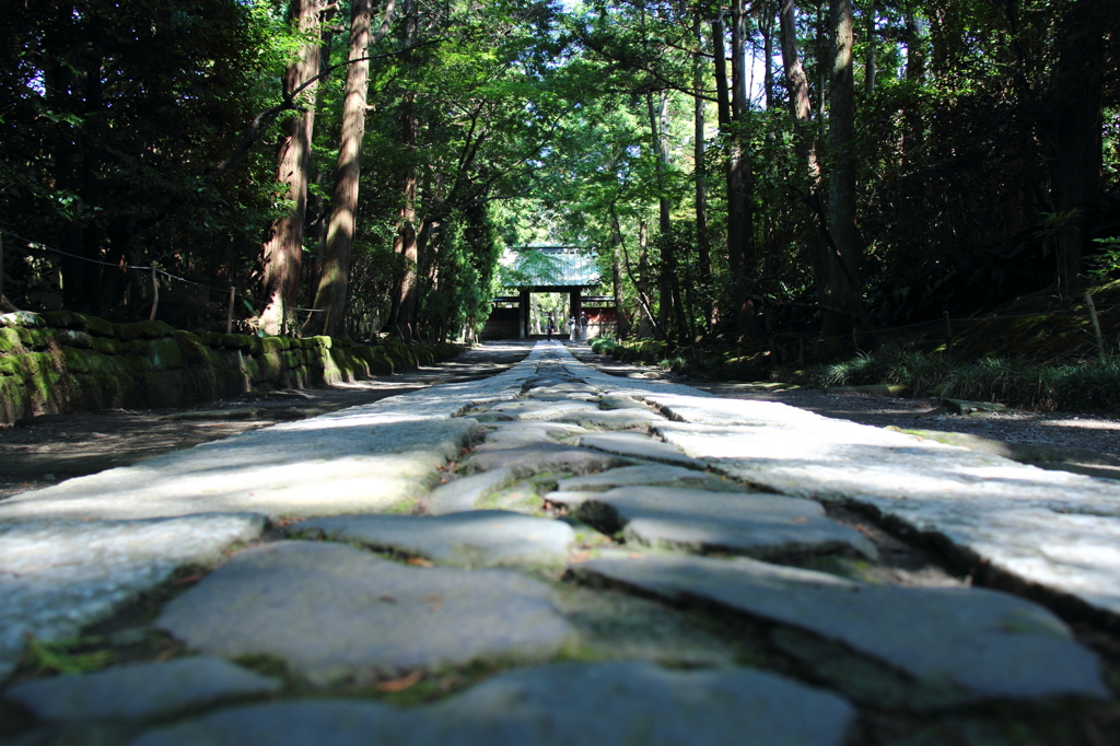 道
