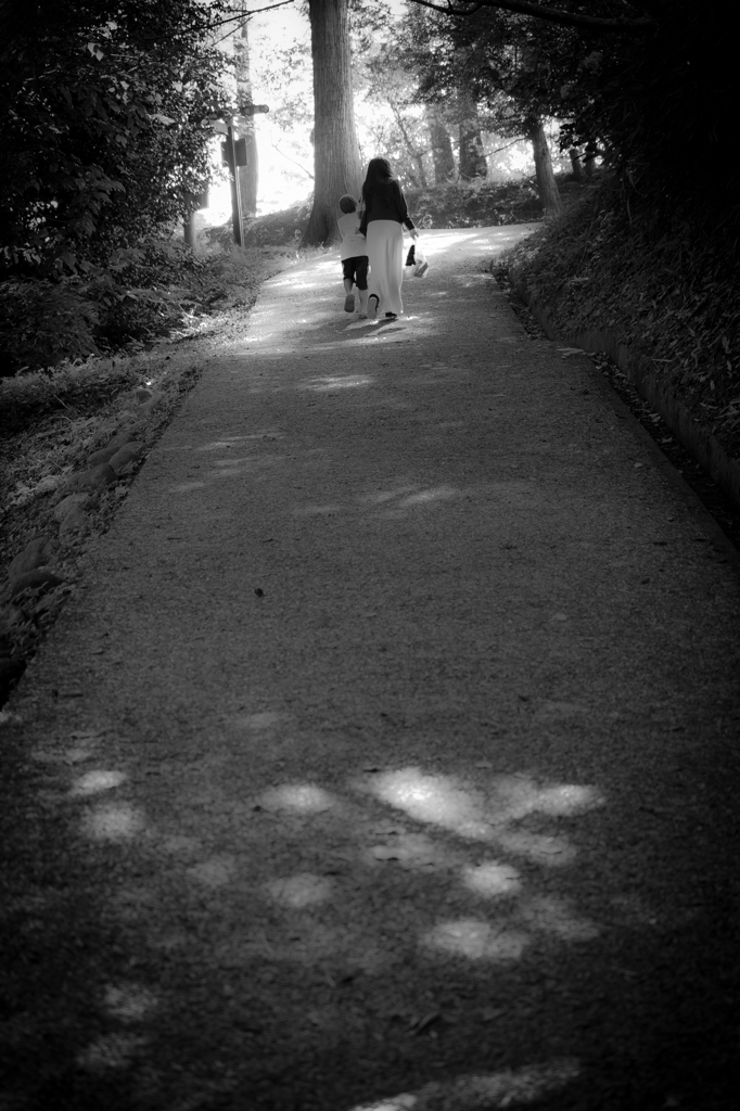 Matsushima　Walk 　#1